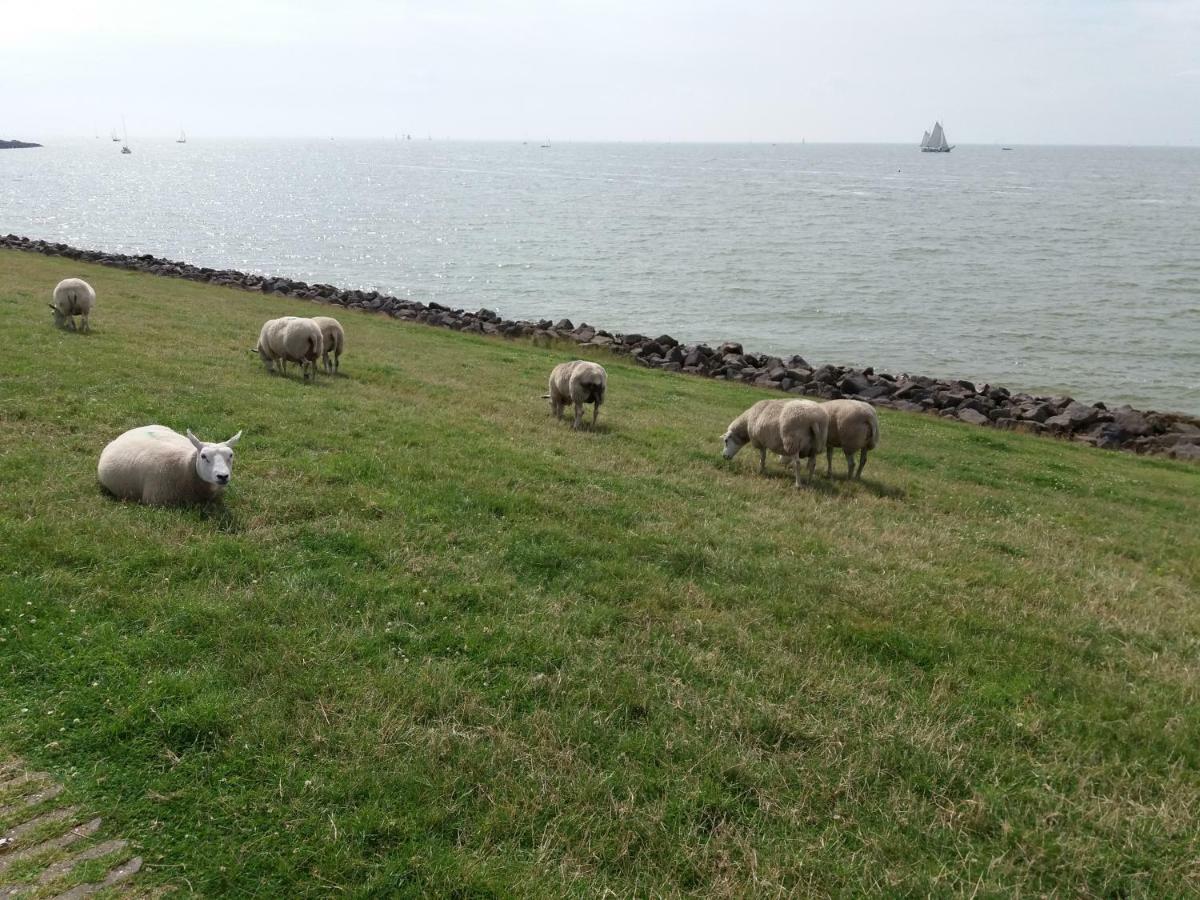 Heerlijk Huis Aan Het Ijsselmeer Stavoren Exterior foto